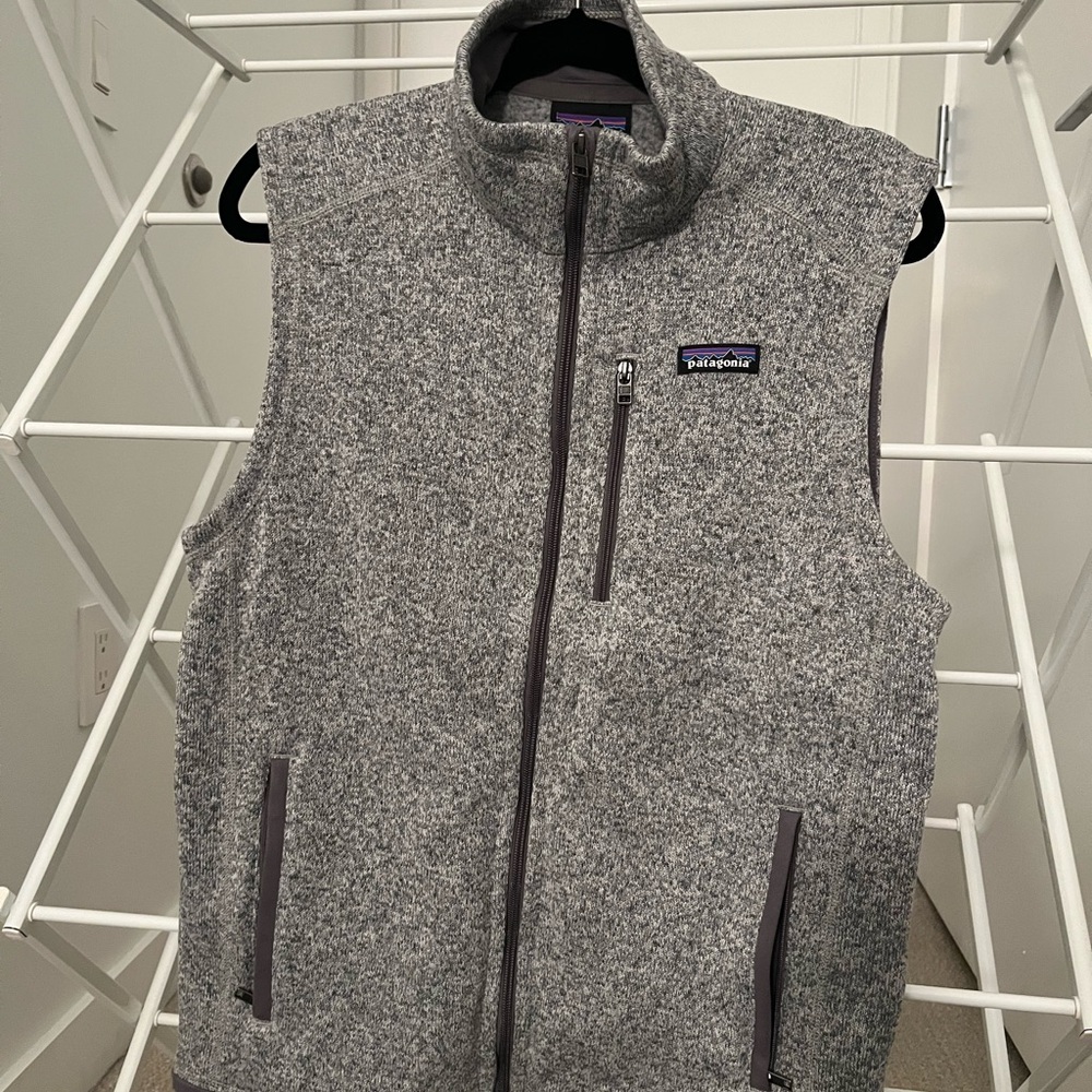 Patagonia Men's Heathered Gray Vest